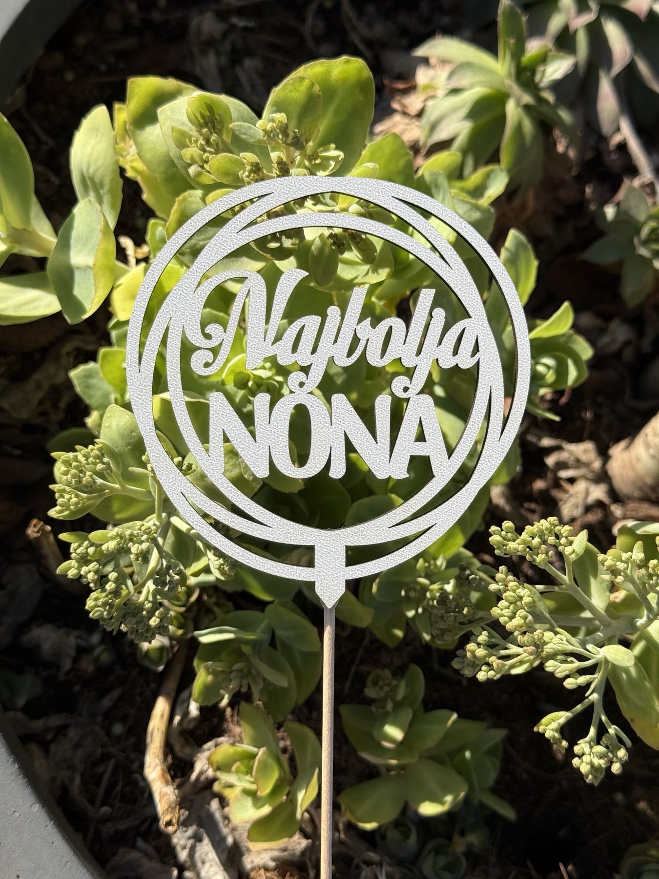 Toper najbolja nona 559