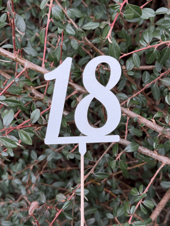Toper za rođendan broj 18