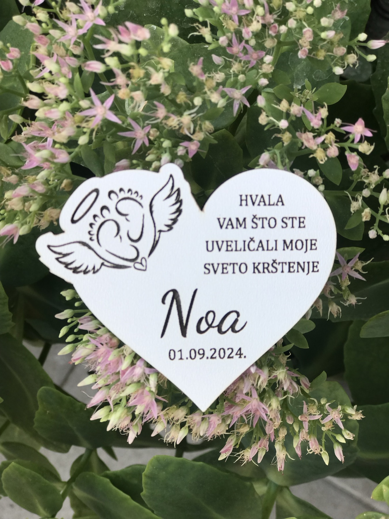 Magnet zahvalnica