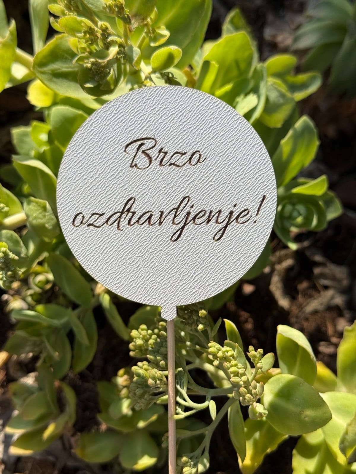 Toper - brzo ozdravljenje
