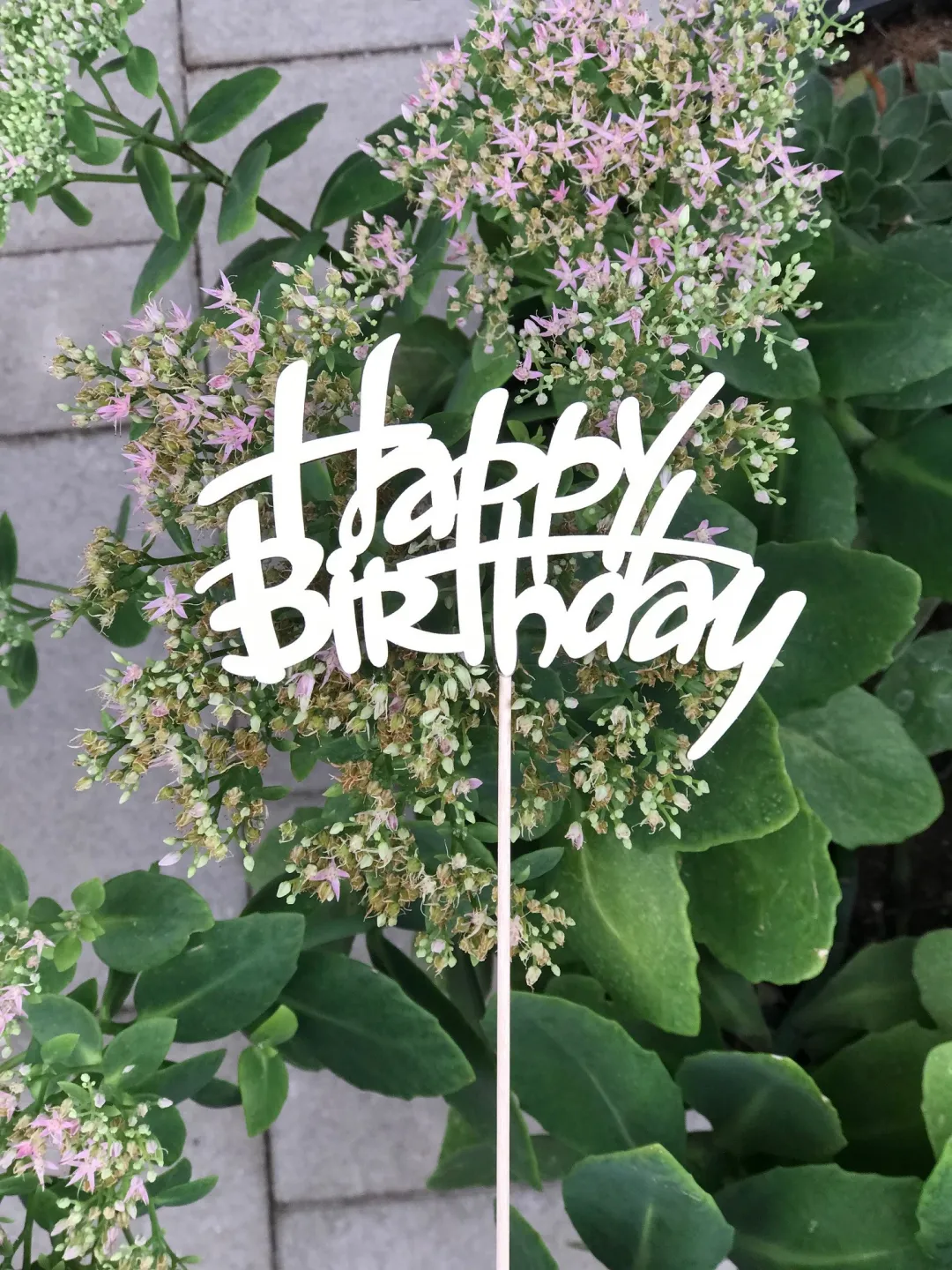 Toper happy birthday - toper sretan rođendan