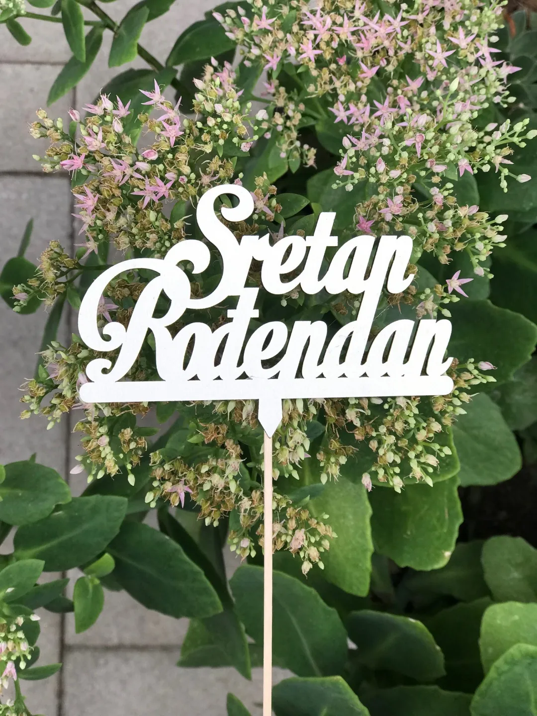 Toper sretan rođendan